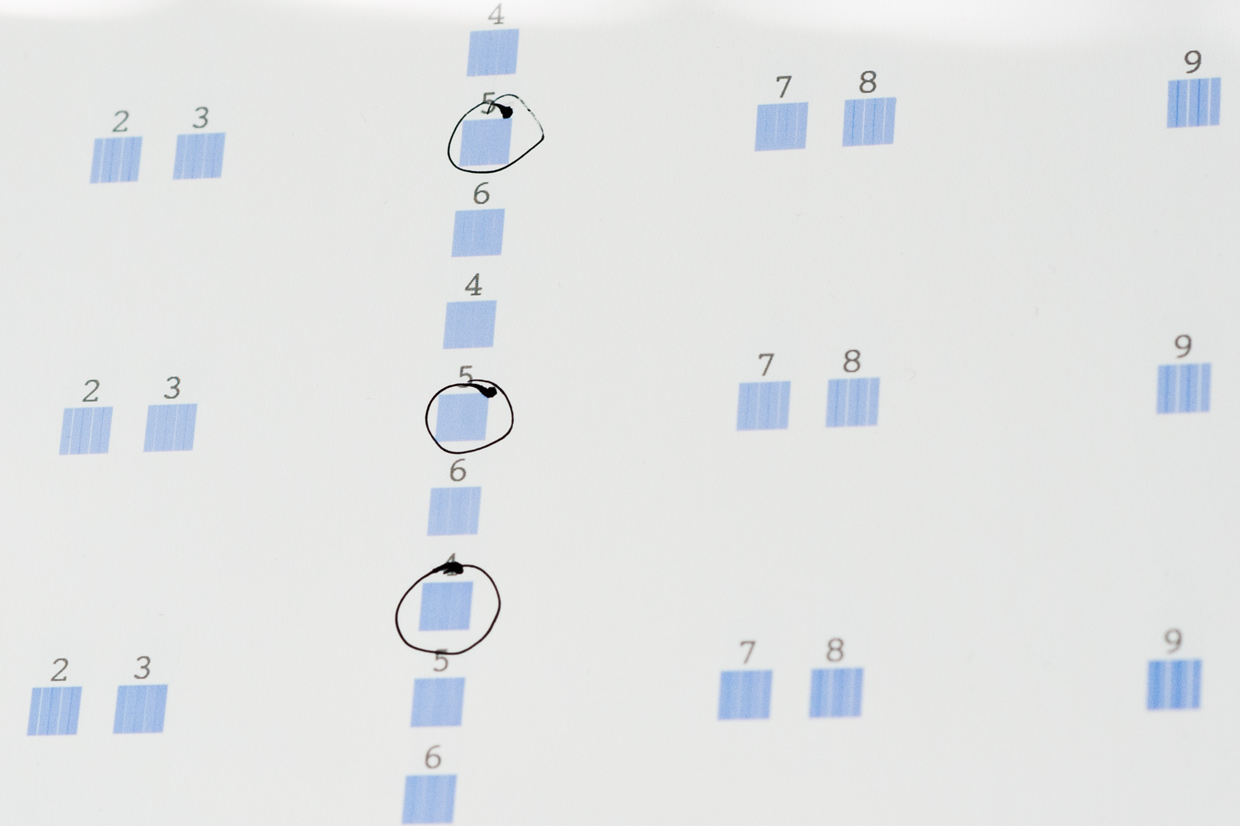 hjorthmedh-epson-surecolor-p800-head-alignment